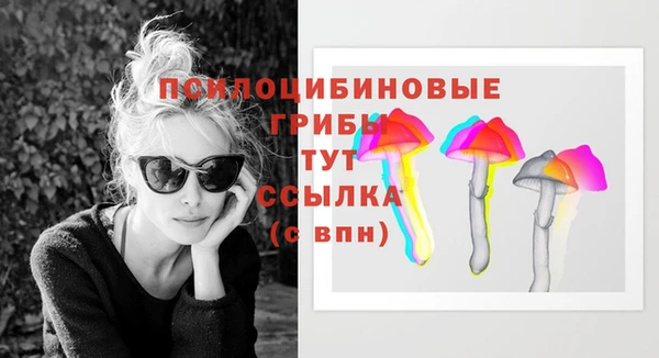 ECSTASY Алексеевка
